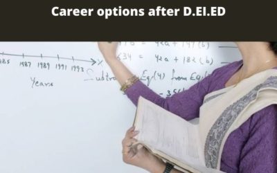 Career options after D.EI.ED